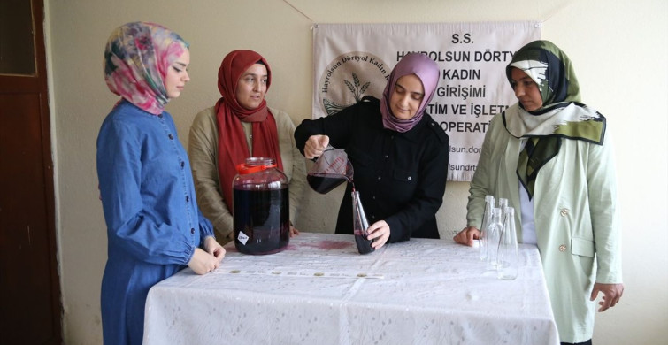 Dörtyol'da Kooperatifleşen Kadınlar Sirke Üretimiyle Ekonomik Bağımsızlık Elde Ediyor