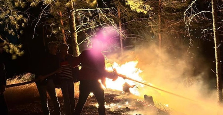 Dörtyol'daki Orman Yangını Kontrol Altına Alındı