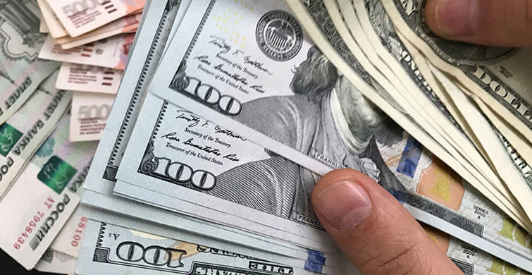 Döviz Mevduatı Niye Azalmıyor? İşte Yanıtı