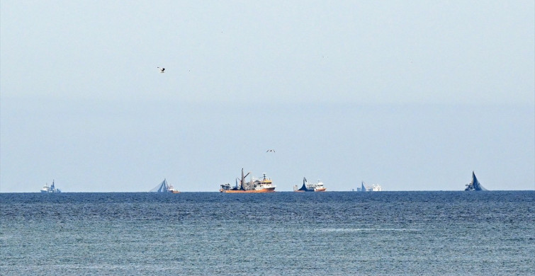 Doğu Karadeniz'de Palamut Avı Patladı