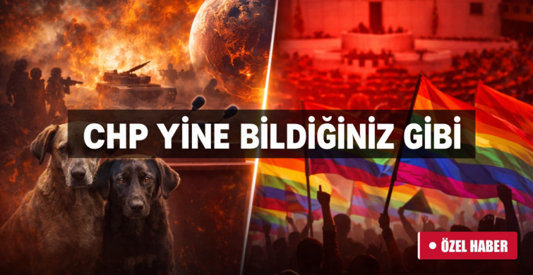 Dünya alarm verirken CHP’ninı gündemi: Hayvanlar ve LGBT