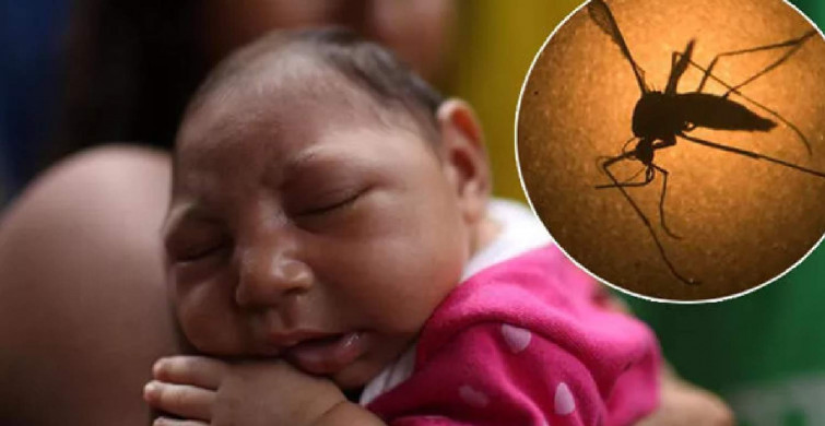Zika virüsü bulaşıcı mı? Zika virüsü hangi ülkelerde görüldü, belirtileri neler? Dünya gündemi yeni tehlike Zika virüsünü konuşuyor!
