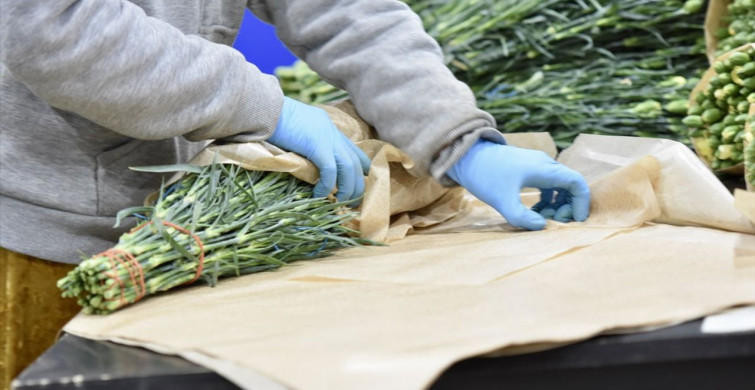 Dünya Kadınlar Günü için Türkiye'den Yurt Dışına 80 Milyon Dal Çiçek Gönderildi