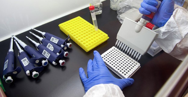 Dünya Sağlık Örgütü: Ebola Virüsü İçin Acil Durum Yok 
