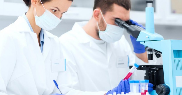 Dünya Sağlık Örgütü Genetik Değiştirme İddiası İçin Heyet Oluşturuyor