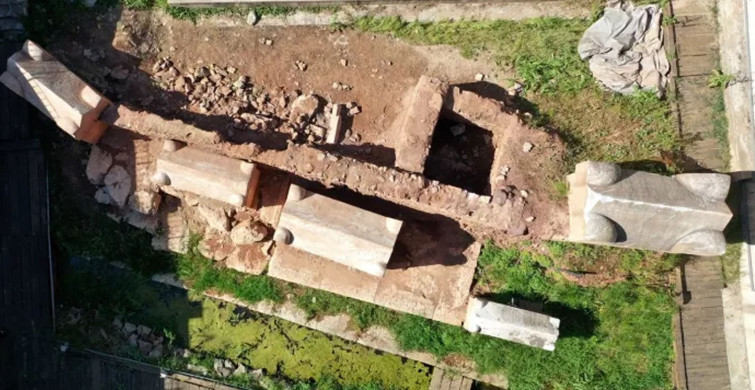 Dünyada bir ilk Kocaeli'nde bulundu! İşte imparatorun koruyucusunu uyarma yöntemi