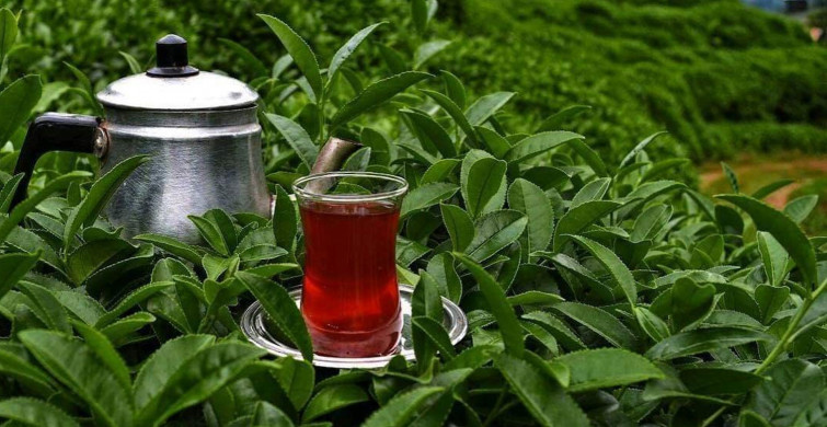 Dünyanın sofralarında, Tavşan kanı Türk çayları yudumlanıyor!