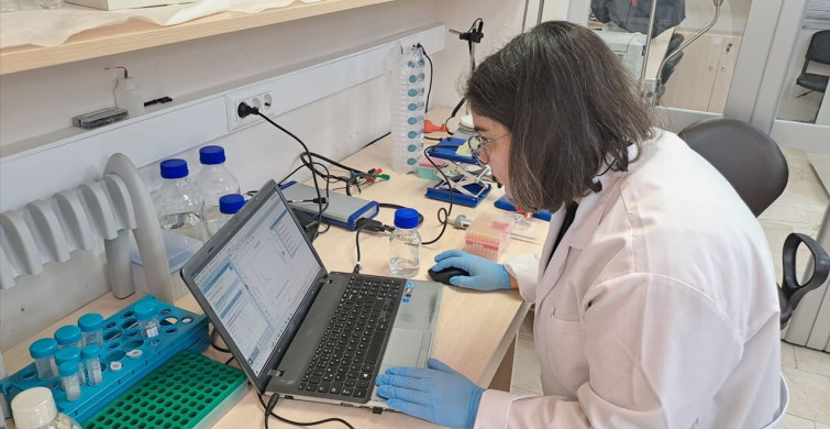 Düşük Maliyetli Yapay Zeka Destekli Glikoz Biyosensörü Sakarya'da Geliştirildi