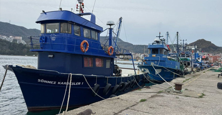 Düzce ve Bartın'da Balıkçılar Bu Sezon Hayal Kırıklığı Yaşıyor