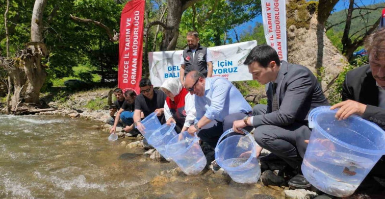 Düzce’de 7 bin 500 kırmızı benekli alabalık yavrusu sularla buluştu
