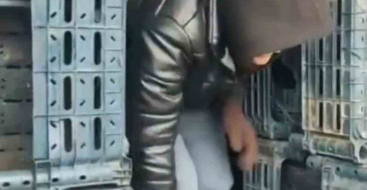 Düzce'de 7 Düzensiz Göçmen Yakalandı