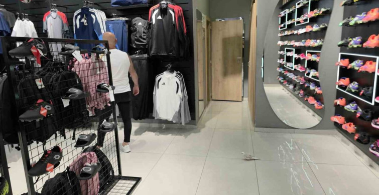 Düzce'de Alışverişe Giden Sultan Papağanı