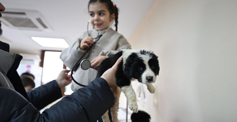 Düzce'de Çocuklar Hayvanlarla Dijital Bağımlılıktan Uzaklaşıyor