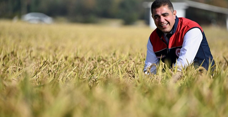 Düzce'de Damla Sulama ile Verim Artışı
