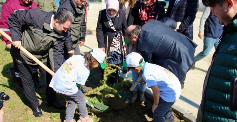 Düzce'de Fidan Dikim Etkinliği Gerçekleşti