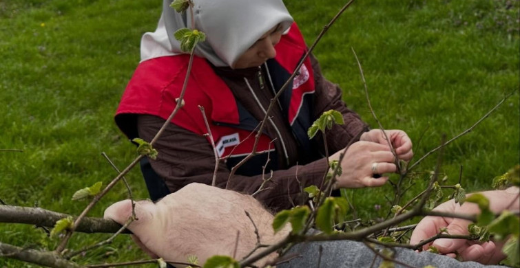 Düzce'de Fındık Üreticilerine Kozalak Akarı ve Külleme Uyarısı
