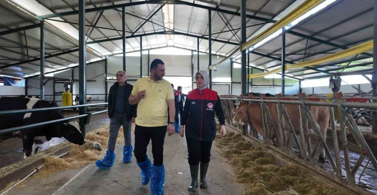 Düzce'de Hastalıktan Ari İşletmelerin Artışı