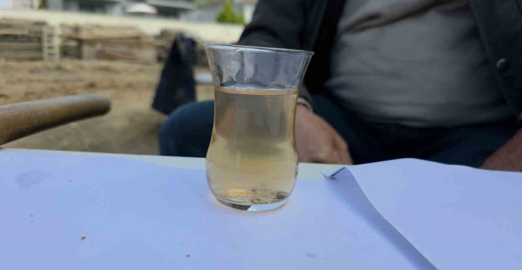 Düzce'de İşçiler Fındık Kabuğu Çayıyla Hem Tasarruf Yapıyor Hem de Lezzet Sunuyor