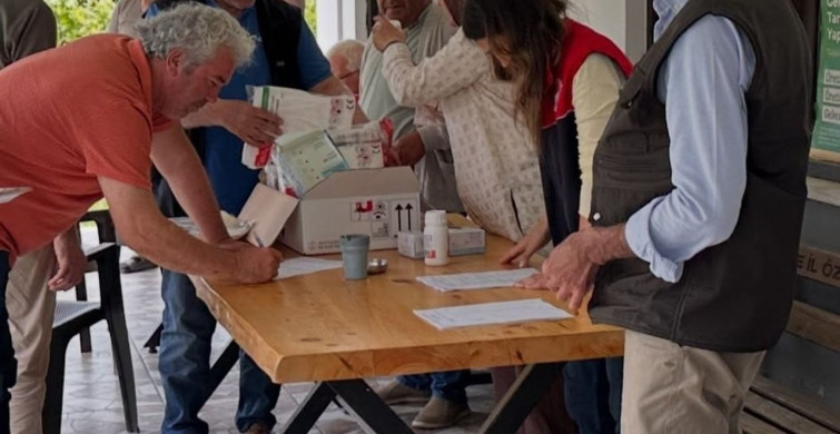 Düzce'de Kahverengi Kokarca ile Mücadele: 72 Bin Metruk Bina İlaçlandı