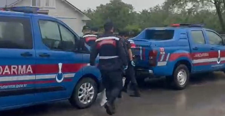 Düzce'de Kenevir Ekimi Yapan Şahıs Yakalandı
