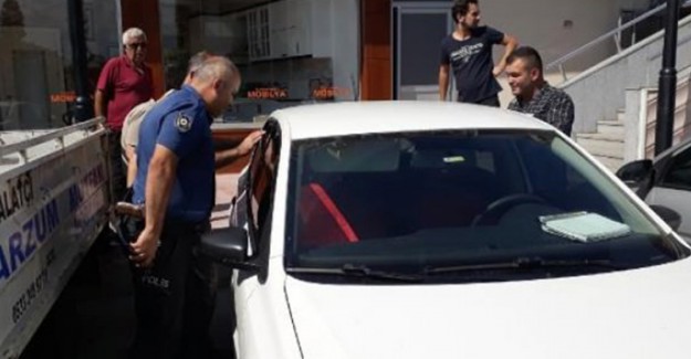 Düzce'de Otomobilde Bırakılan Köpek Havasızlıktan Öldü