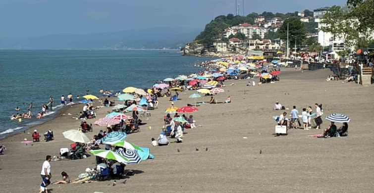 Düzce'de Sıcak Hava Denize Koşuşturdu