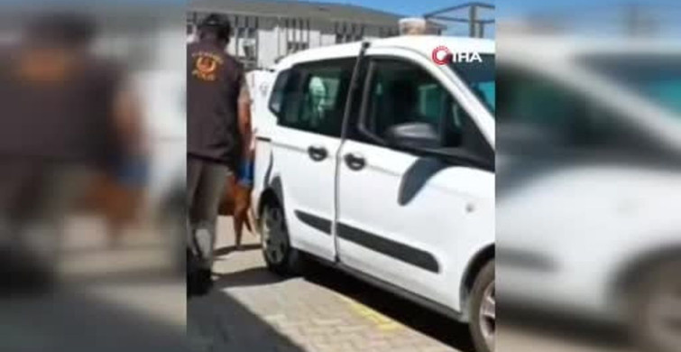 Düzce'de Uyuşturucu Operasyonu: Büyük Miktarda Sentetik Ecza ve Silah Ele Geçirildi