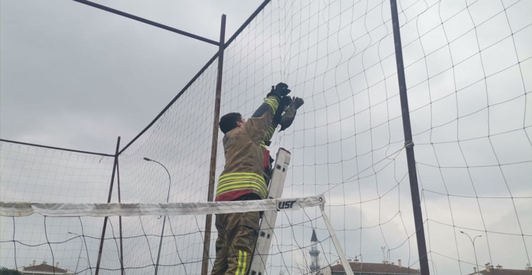 Düzce'deki Karga Kurtarma Operasyonu