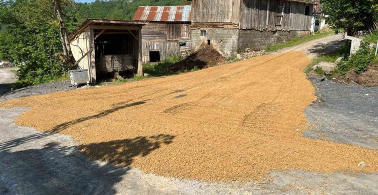 Düzce'deki Köy Yollarında Asfalt Çalışmaları Devam Ediyor