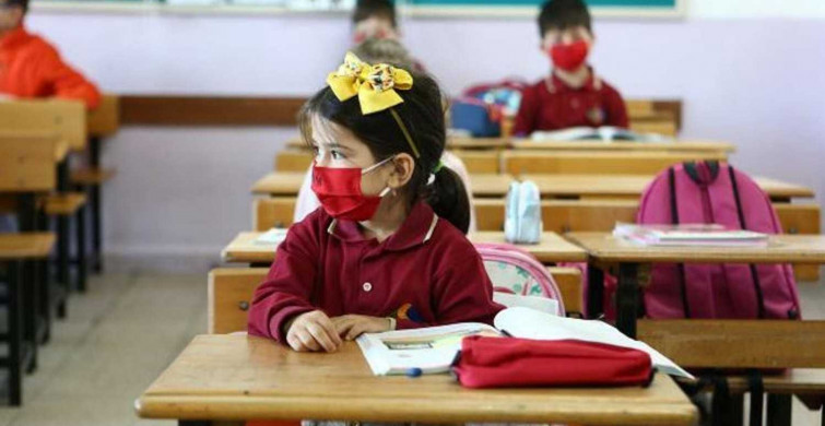 E-Okul 1. sınıf kayıt erteleme işlemleri ve TC ile öğrenci kayıt sorgulama