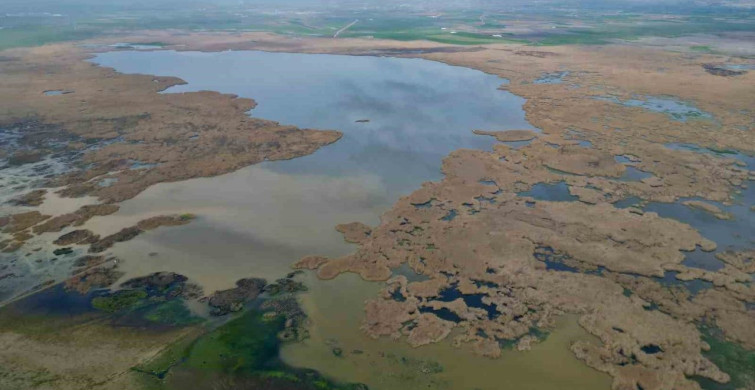 Eber Gölü'nde su seviyesi yükseliyor