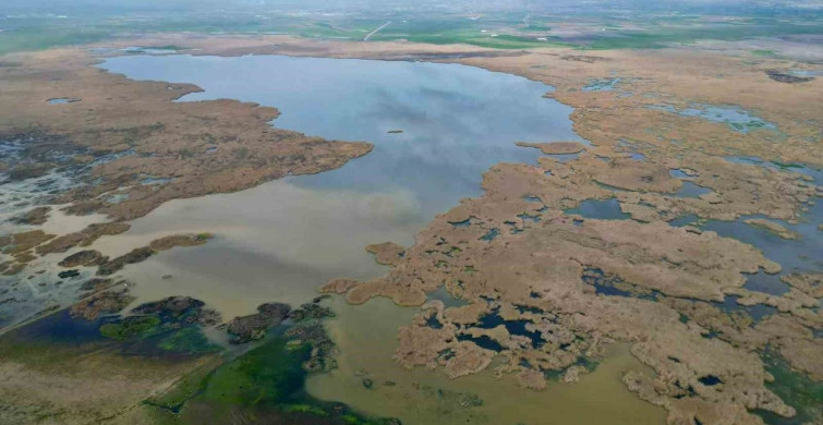 Eber Gölü’nden Kaçak Su Çekildiği İddiaları Yalanlandı