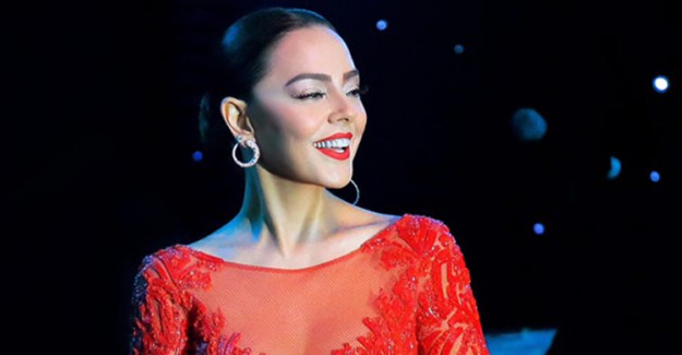 Ebru Gündeş Bebeğini Amerika'da Doğuracak