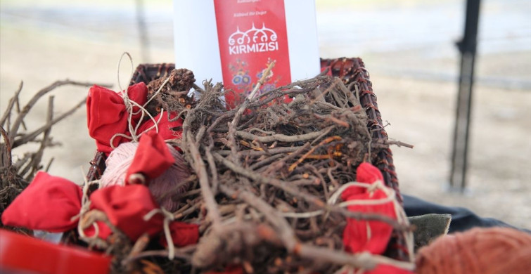 Edirne Kırmızısı: Gelenekten Moderniteye Uzanan Bir Renk Hikayesi