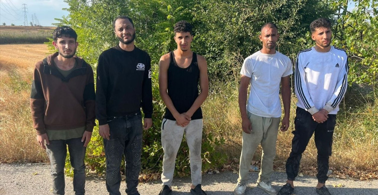 Edirne'de 24 Düzensiz Göçmen Yakalandı