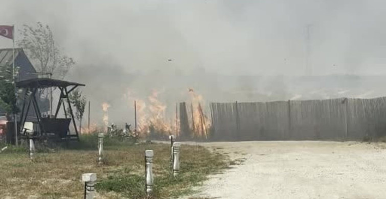 Edirne'de anız yangını hobi bahçelerine ve buğday tarlasına sıçradı