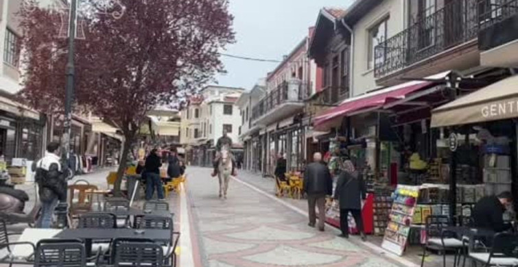 Edirne'de Beyaz At ile Şehir Turu