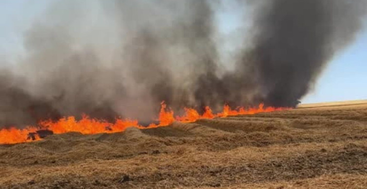 Edirne'de biçilmiş buğday tarlasında yangın çıkmıştı