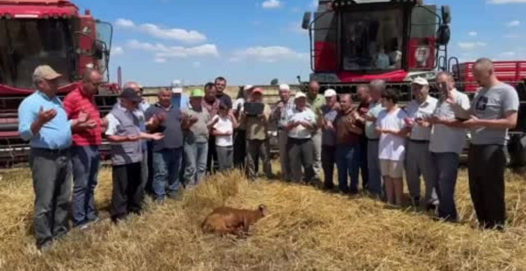 Edirne'de buğday hasadı dualarla başladı