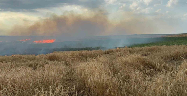 Edirne'de buğday tarlasında yangın kontrol altına alındı