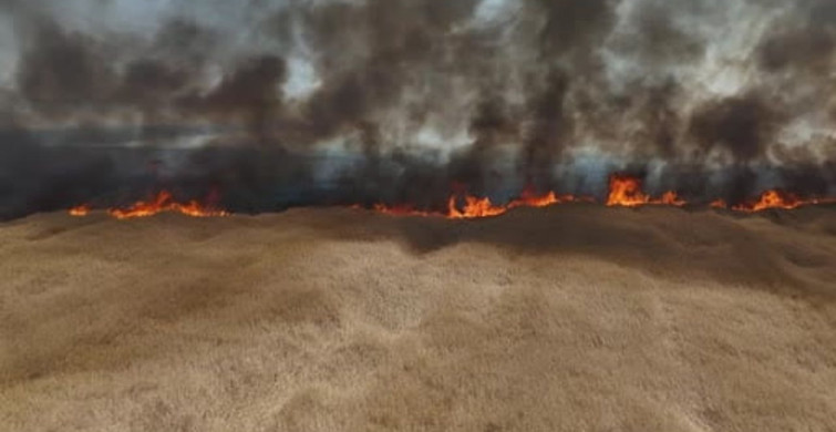 Edirne'de çıkan yangında çiftçilerin emekleri yok oldu