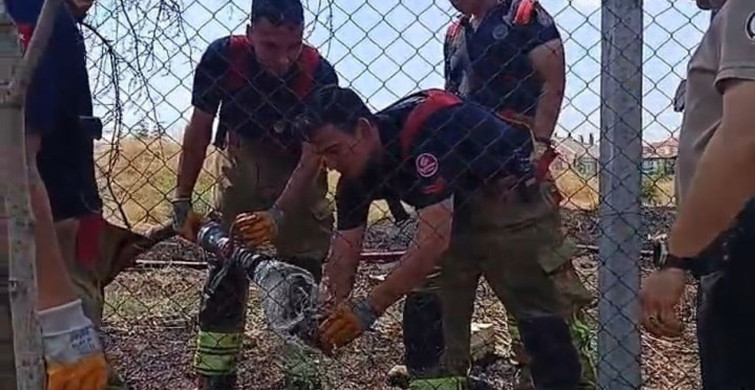 Edirne'de çıkan yangında kaplumbağa itfaiye ekipleri tarafından kurtarıldı