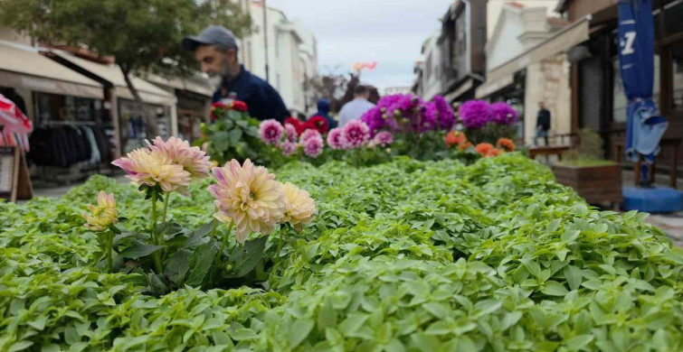 Edirne'de Fesleğen Esintisi