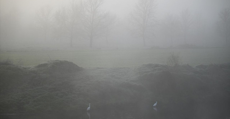 Edirne'de Görüş Mesafesi 40 Mete Düştü: Yoğun Sis Etkili Oluyor