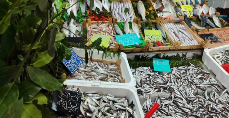 Edirne'de Su Ürünleri Denetimleri Devam Ediyor