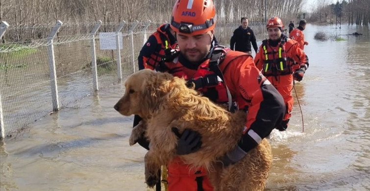 Edirne'de Taşkın Kurtarma Çalışmaları