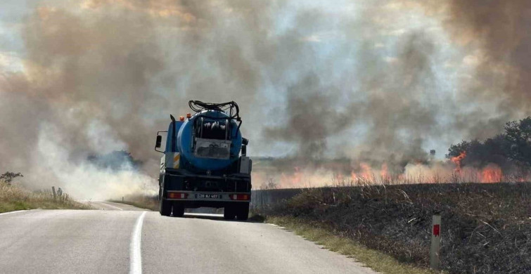 Edirne'de üzüm bağındaki yangın 200 dekarlık alanı etkiledi