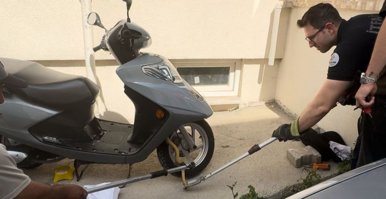 Edirne'de Yılan Paniği: Motosikletten Çıkarıldı