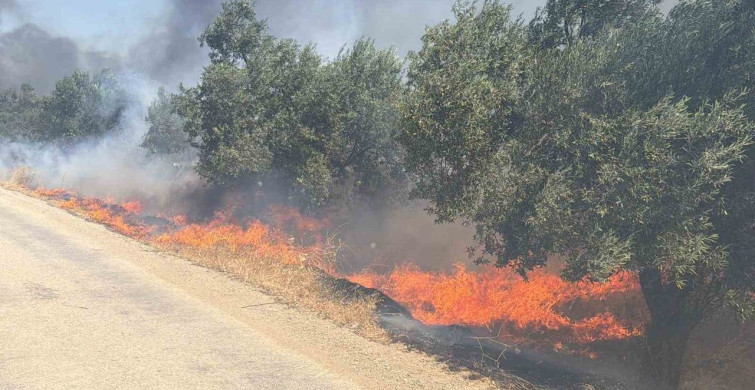 Edremit'te eski çöp depolama alanında çıkan yangın zeytinliklere sıçradı