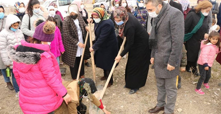 Edremit’te Kadınlar Gününe Özel Fidan Dikildi